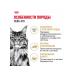 ROYAL CANIN Wet feed Main Coon for cats Maine Kun 85 g 5pcs - Buy Online on GoSupps.com