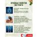 BIOLIT Argo Burdock root extract 200 ml - Buy Online on GoSupps.com