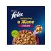 FELIX Wet feed Sensations for cats duck spinach 75 g 10 pcs - Buy Online on GoSupps.com
