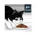 FELIX Feed moist meat slices for beef cats 75 g 10 pcs - Buy Online on GoSupps.com