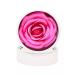 Rosel Cosmetics Cream blush highlighter Glazed Rose 6G Barbie color - Buy Online on GoSupps.com