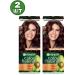 Garnier 4.15 Color Naturals hair dye persistent 2 pcs