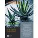 Genel Gel Aloe Vera Universal Moisturizing 500 ml - Buy Online on GoSupps.com