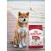 ROYAL CANIN Dry food Medium Adult for adult dogs of medium breeds 3kg - Buy Online on GoSupps.com