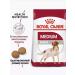 ROYAL CANIN Dry food Medium Adult for adult dogs of medium breeds 3kg - Buy Online on GoSupps.com