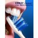 1000 Catalog Toothpaste whitening from caries - Buy Online on GoSupps.com