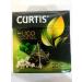Curtis Kertis Green Tea 20 Hugo Cocktail Pire - Buy Online on GoSupps.com