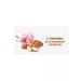KDV Bank 2 pcs. almond - Buy Online on GoSupps.com