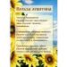Forest healer Lecithin is sunflower - Buy Online on GoSupps.com