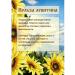Forest healer Lecithin is sunflower - Buy Online on GoSupps.com