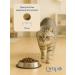 Ortipo Diabetics cat food Diabetic Glucose Control 6 kg - Buy Online on GoSupps.com