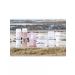 ALGOLOGY Algroji Lotion Refreshing Des Dunes Anti-Pollut 200 ml - Buy Online on GoSupps.com