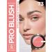 RELOUIS Face blush dry compact Pro Blus tone 73