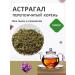 Summergreen Astragal membrane root 100 grams of Altai