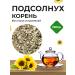 Summergreen Sunflower root (sunflower) Altai grass