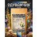 Summergreen Dandelion root dried altai