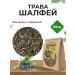 Summergreen Sage grass for brewing dried tea Egypt