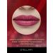 Stellary Lipstick for lips stable my lip symbol tone 08 - Buy Online on GoSupps.com
