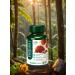 Imbian Reishi Extract mushrooms 60 capsules - Buy Online on GoSupps.com