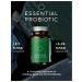 Hedonist Probiotics and prebiotics - Buy Online on GoSupps.com