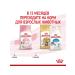 Dry food balanced for kittens up to 12 months 2kg - Buy Online on GoSupps.com
