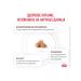 ROYAL CANIN Cat food dry GastroinTestinal Fiber Response 0.35kg - Buy Online on GoSupps.com
