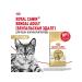 ROYAL CANIN Dry Bengal food for cats Bengal 0.4 kg 4 pcs - Buy Online on GoSupps.com