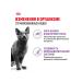 ROYAL CANIN Wet sterilized feed sterilized cats jelly 85 g 5pcs - Buy Online on GoSupps.com