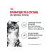 ROYAL CANIN Wet digest car for cats in sauce 85 g 5 pcs - Buy Online on GoSupps.com