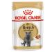 ROYAL CANIN Wet feed British shorthair for cats British 85 g 5pcs - Buy Online on GoSupps.com