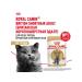 ROYAL CANIN Wet feed British shorthair for cats British 85 g 5pcs - Buy Online on GoSupps.com