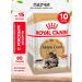 ROYAL CANIN Wet feed Main Coon for cats Maine Kun 85 g 10pcs
