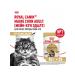 ROYAL CANIN Wet feed Main Coon for cats Maine Kun 85 g 10pcs - Buy Online on GoSupps.com
