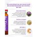 Clover Labs RE Energy Complex Energy Activation - Buy Online on GoSupps.com