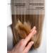 Aesthetic House Set of shampoo and balm moisturizing road - Buy Online on GoSupps.com