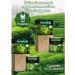 Greenfield Tea in MatE bags 2 pcs of 25 packs