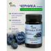 Harmony of Health Blueberries Plus with lutein vitamins A and E 90 capsules