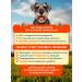 Pet's Brunch Dry food for dogs of medium breeds with chicken 14kg - Buy Online on GoSupps.com