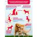 Pet's Brunch Dry food for puppies puppy and nursing dogs with veal - Buy Online on GoSupps.com