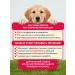 Pet's Brunch Dry food for puppies puppy and nursing dogs with veal - Buy Online on GoSupps.com