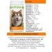 polidex Immunity AP vitamins to strengthen the immunity of dogs 300 tab - Buy Online on GoSupps.com