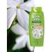 wash & go Shampoo for normal hair with jasmine aroma 675 ml - Buy Online on GoSupps.com