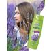 wash & go Shampoo for all types of hair with lavender aroma 360 ml - Buy Online on GoSupps.com