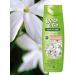 wash & go Shampoo for normal hair with jasmine aroma 360 ml - Buy Online on GoSupps.com