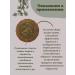 Strawberry Herb Shop Antiprotozoal tea from parasites Collection of herbs - Buy Online on GoSupps.com