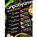 Pump UP Protein bars without sugar taste banana 12pcs - Buy Online on GoSupps.com