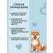 Purelysept Dog shampoo with chlorhexidine and panthenol 5l - Buy Online on GoSupps.com