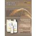 Bis ONE A set of shampoos for dogs and cats Gold 1+1 (M) - Buy Online on GoSupps.com