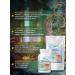 funherb Trametes fruit body and mycelium 120 capsules of 500 mg - Buy Online on GoSupps.com