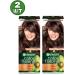 Garnier 5.12 Color Naturals hair dye persistent 2 pcs